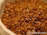 Flaxseed P.E., 20~80% SDG