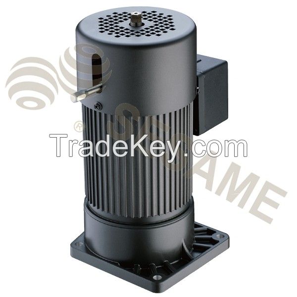 Precision Gear Motor (Foot-Mount Type)