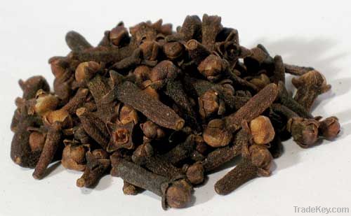 CLOVES