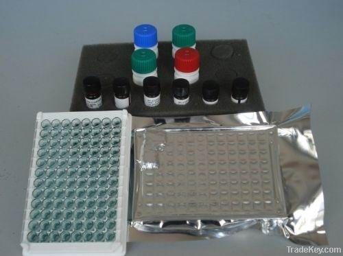 Beta-Agonist ELISA  Kit