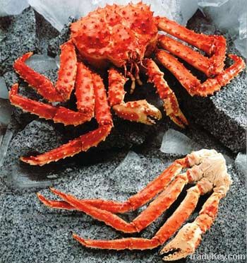 King Crab