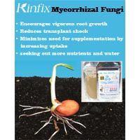 KINFIX BRB-T16 with Mycorrhizal Fungi