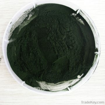 Chlorella phyrenoidosa powder