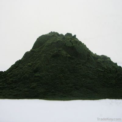 nutrition spirulina powder in bulk