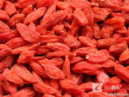 Goji Juice Concentrate