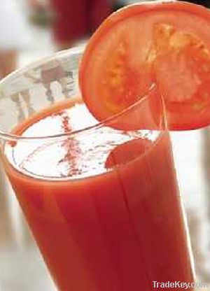 Tomato Juice Concentrate