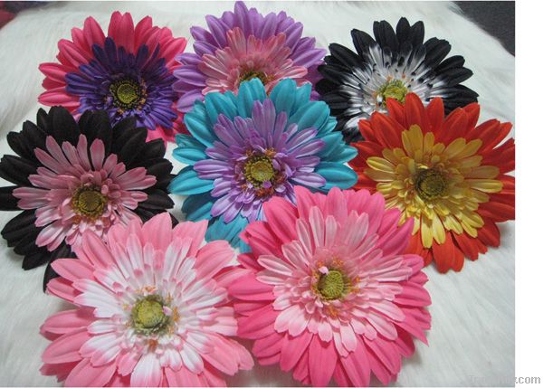 gerbera daisy