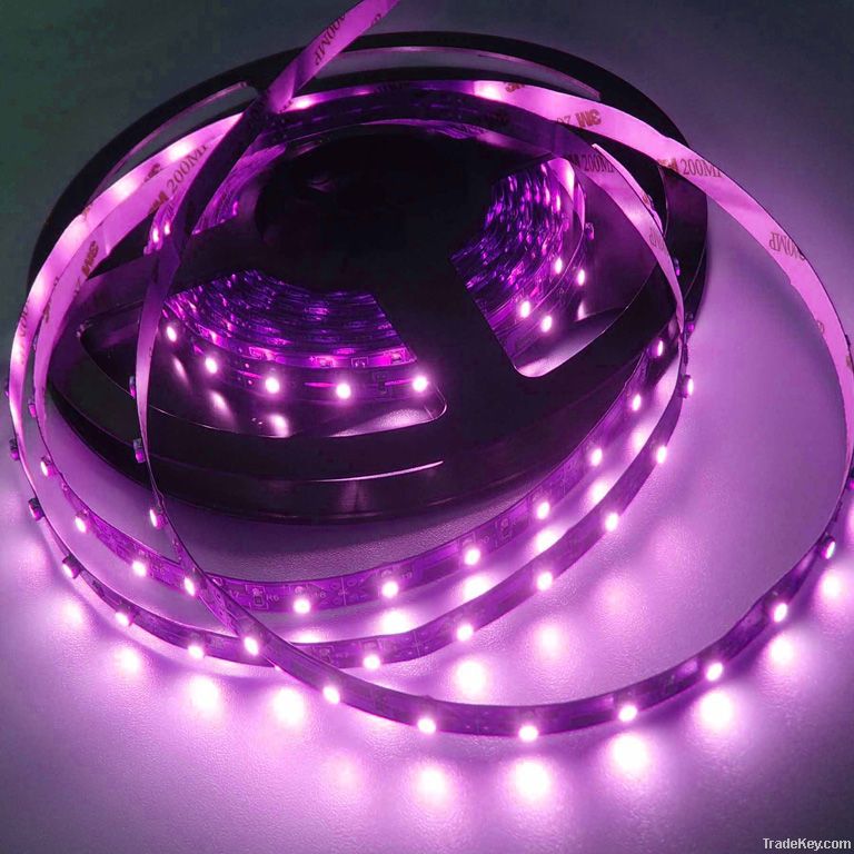 LED Tape Lights