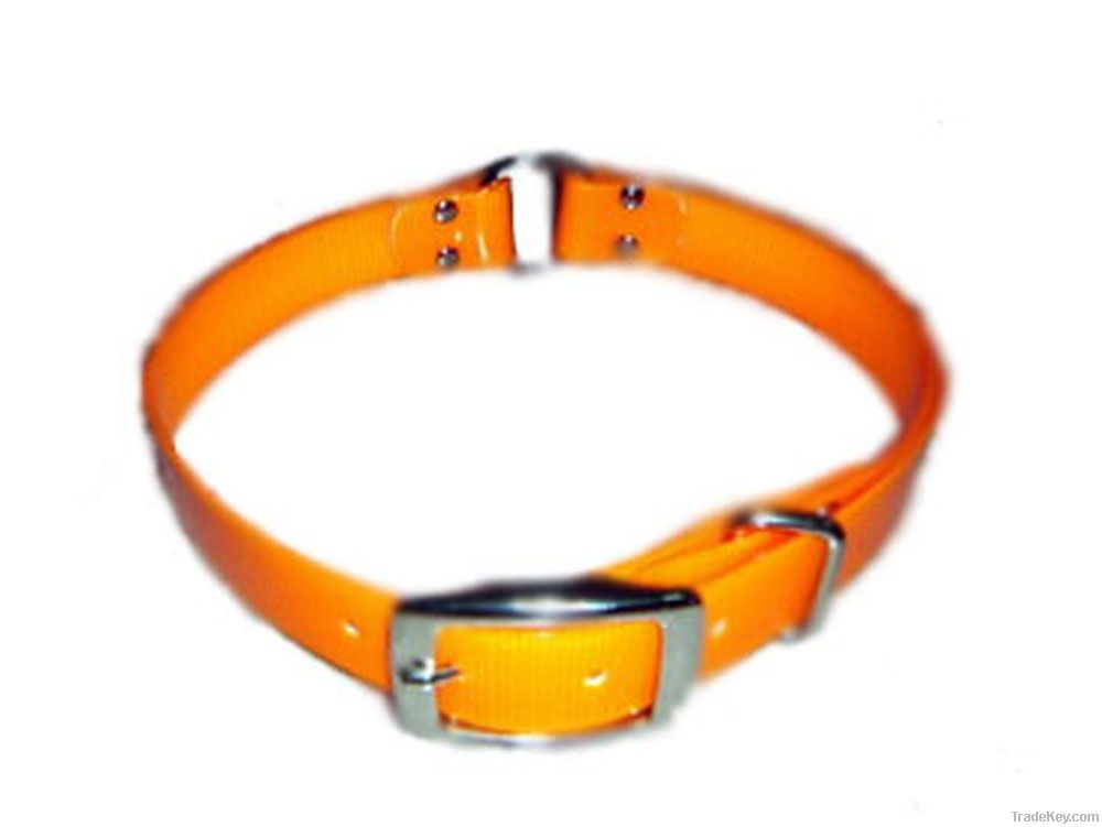 martingale dog collar