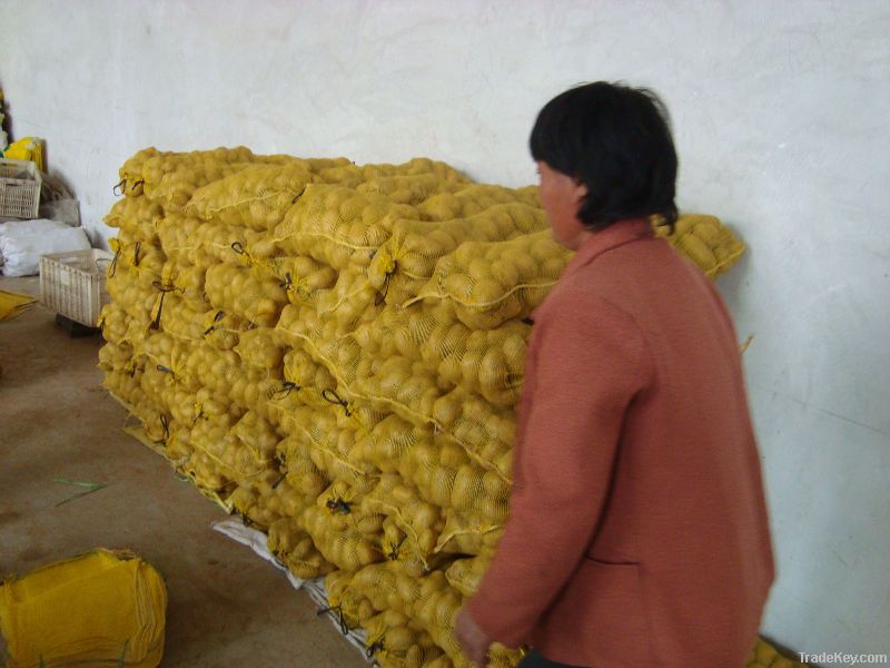 Chinese fresh potato