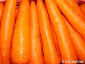 Fresh carrot