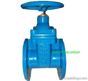 DIN3352 F4 Resilient Gate Valve