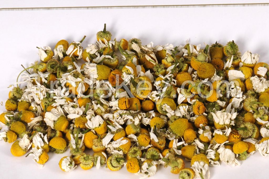 chamomile flowers