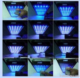 Wholesale super professional reef coral led aquarium light  48*3w