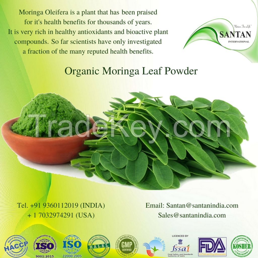 Organic Moringa leaf powder