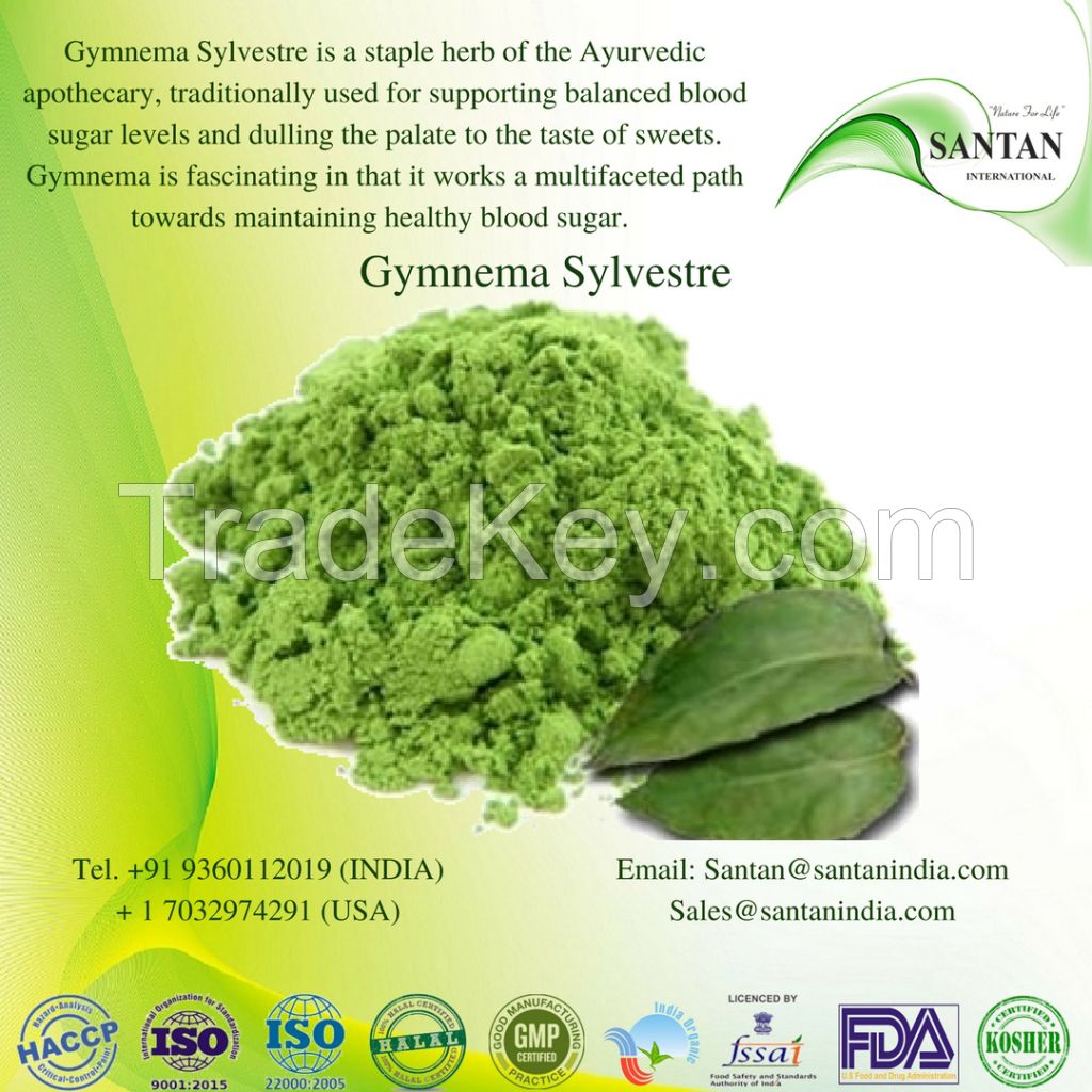 Gymnema Sylvestre powder