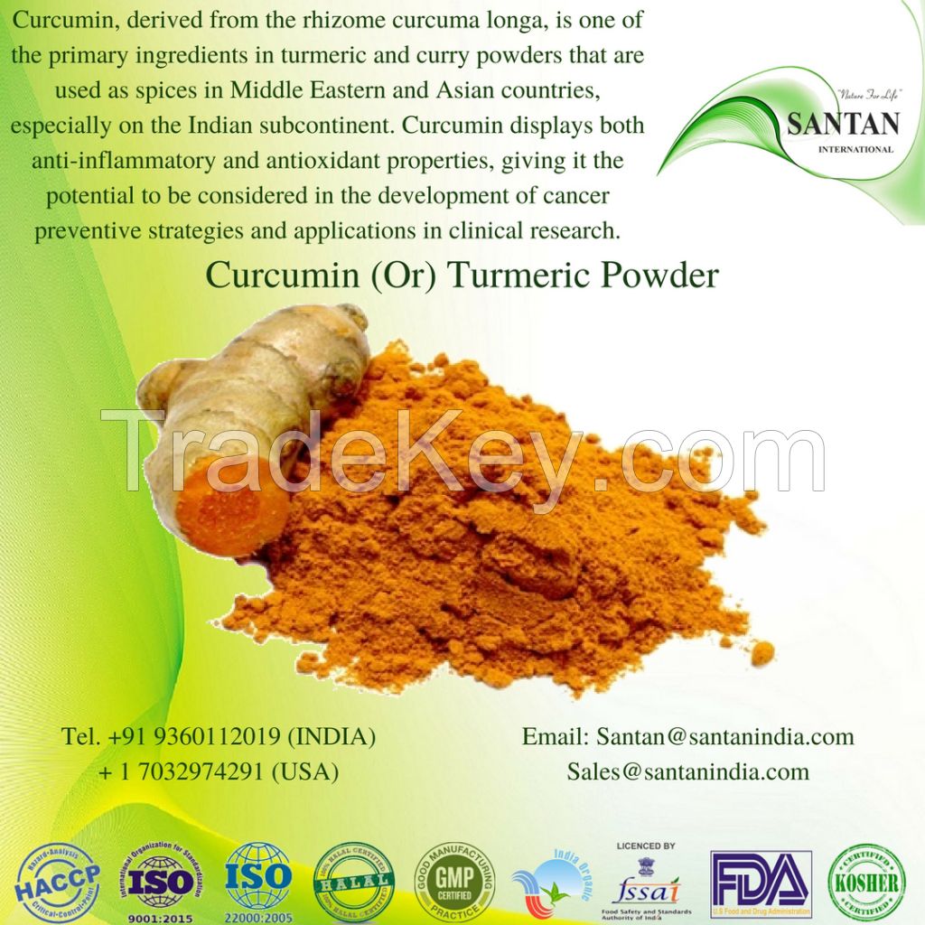 Curcuma Longa Powder