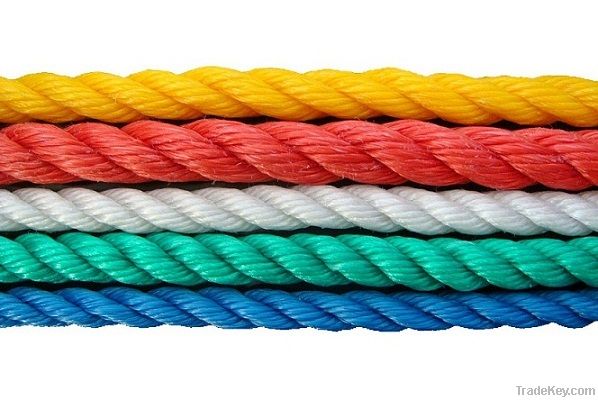 PP Danline Rope