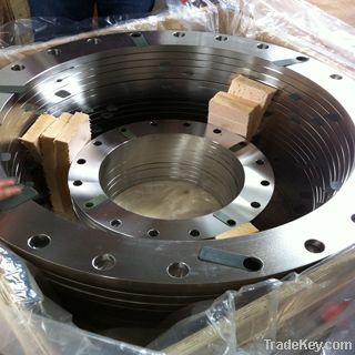 Stainless Steel flanges