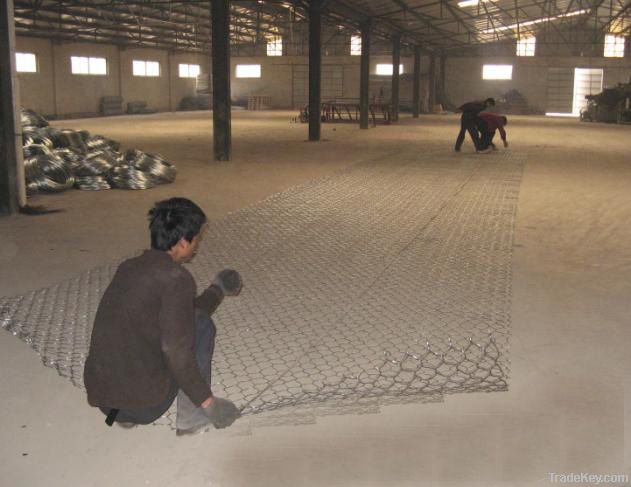 Hexagonal wire mesh