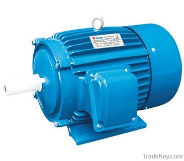 AEEF Series Three Phase Motor