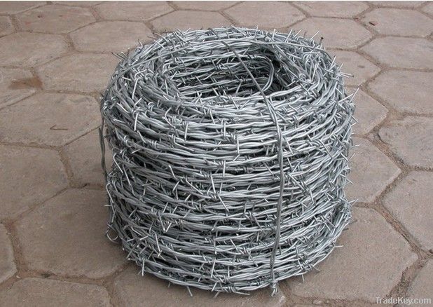 Barbed Wire