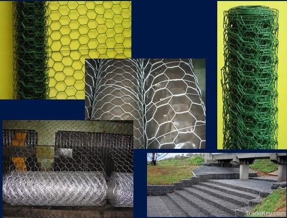 Hexagonal Wire Mesh