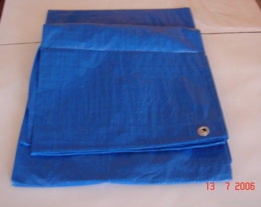 pe tarpaulin canvas canopy