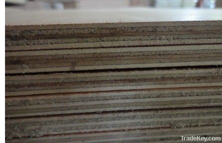 commercial plywood, poplar, okoume, bintangor faced plywood