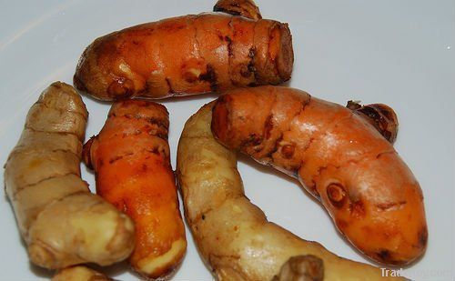 Fresh Turmeric