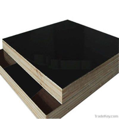 1250*2500mm Poplar core Film Faced Plywood