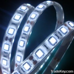 Waterproof(IP65) 60led/m RGB LED Strip Light