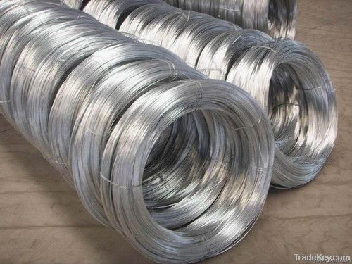 Galvanized Iron Wire