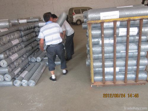 Galvanized Hexagonal Wire Mesh