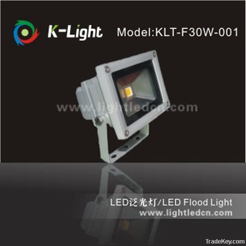 30W Outdoor LED Flood Light