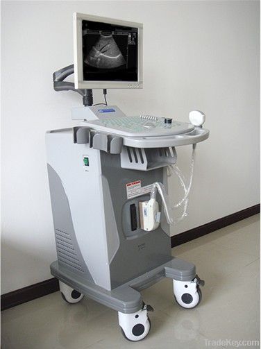 DW370 B mode ultrasound scanner