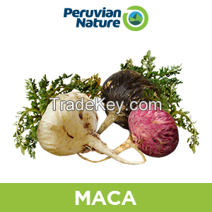 Maca