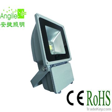 LED Flood Light