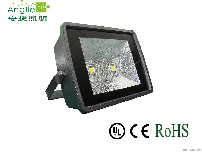 LED Floodlight