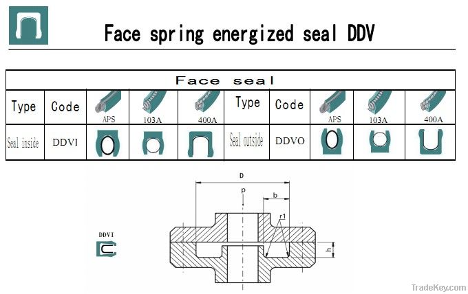 spring energized seal