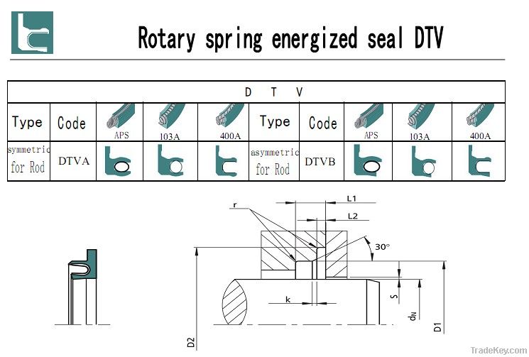 spring energized seal