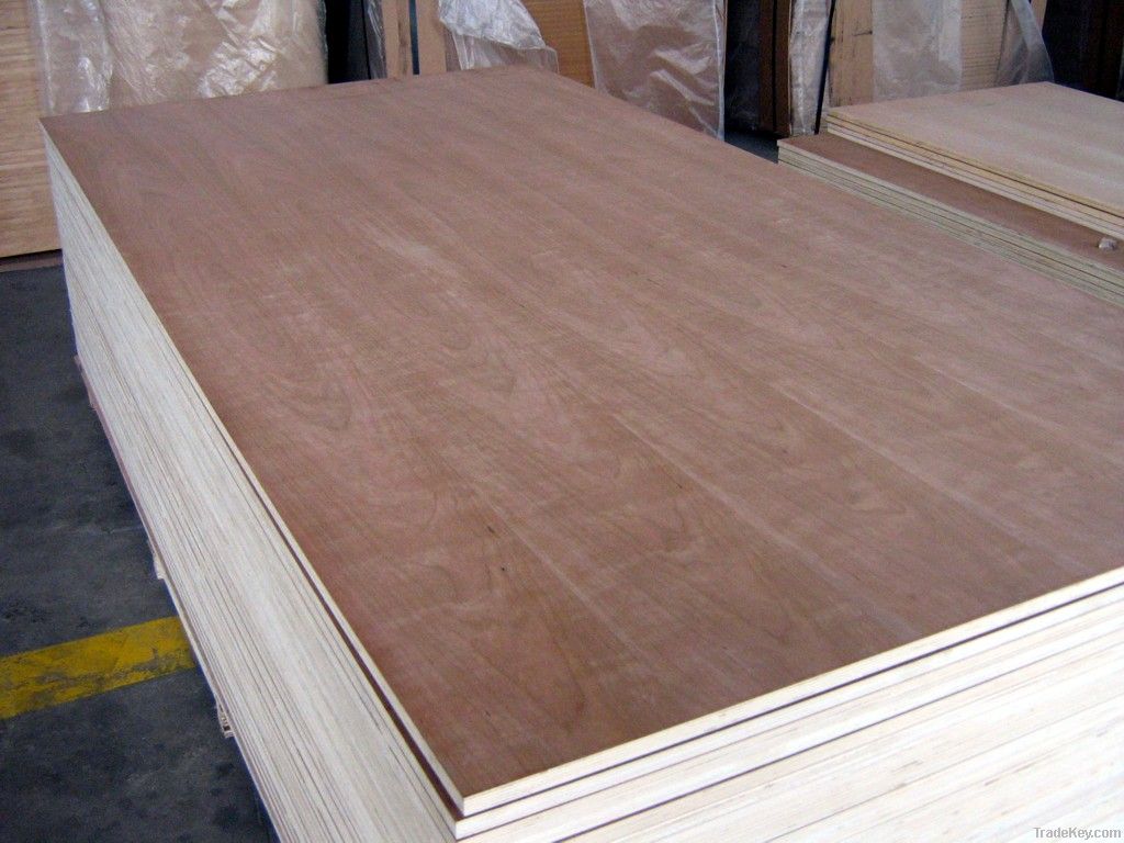 bintangor plywood