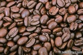 Robusta Coffee