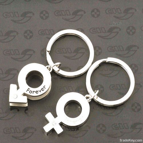 Stainless steel keychain, key ring