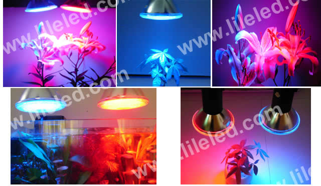 LED Plant Grow Light