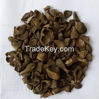 PKS PALM KERNEL SHELL