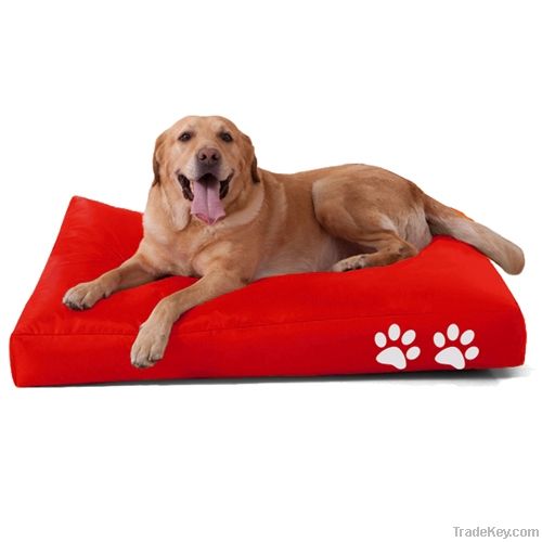 Dog  Beanbag