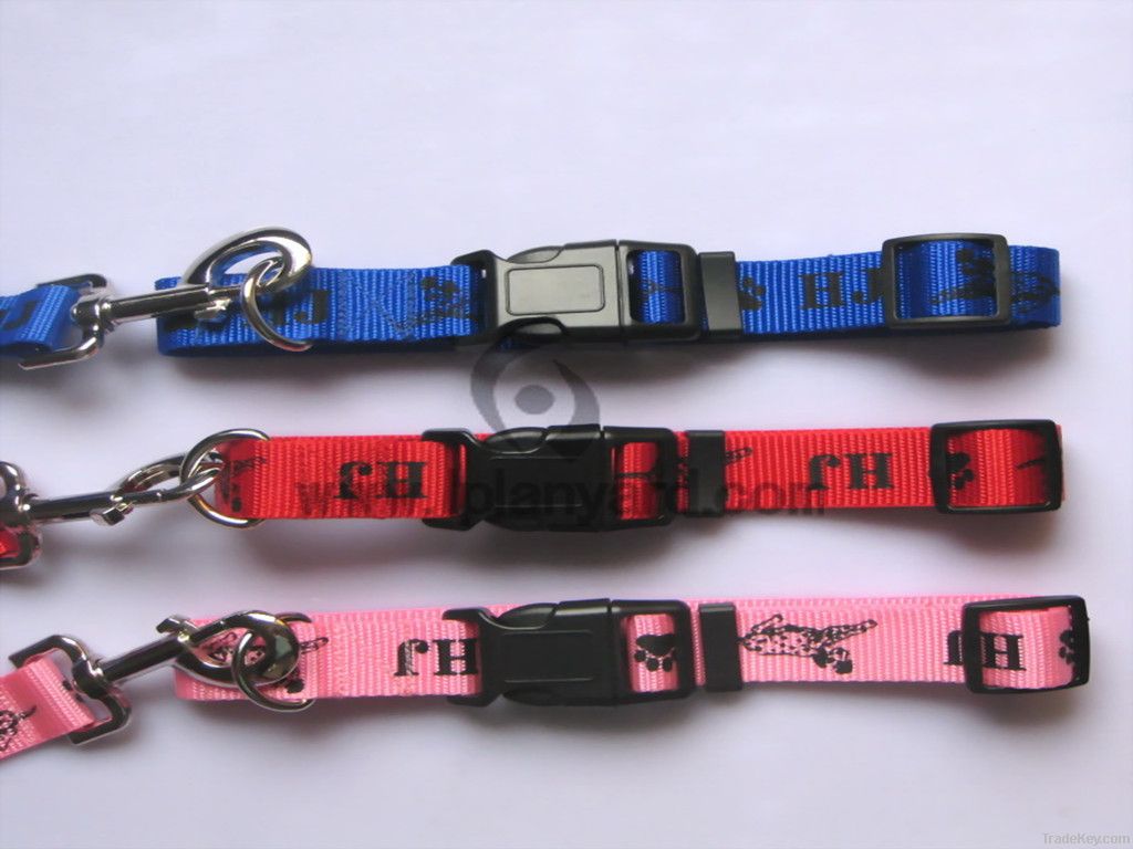 2013 hot selling Nylon dog collars &amp; leashes