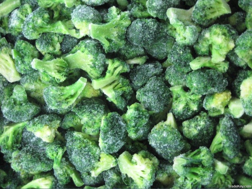 supply frozen broccoli