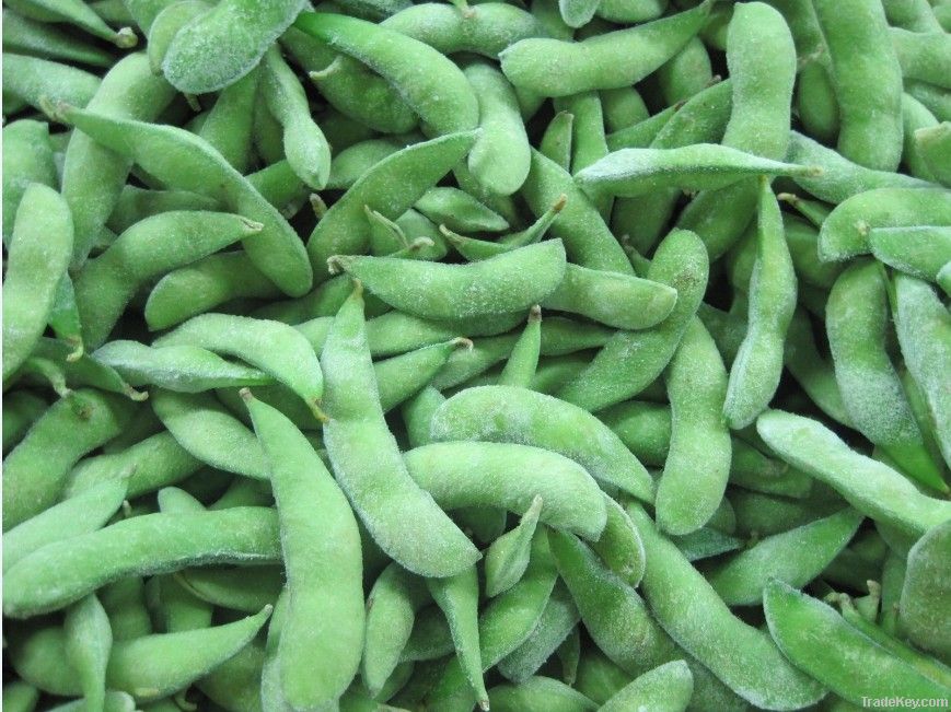 supply iqf soy bean